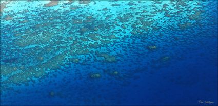 Great Barier Reef  - QLD T (PBH4 00 14863)